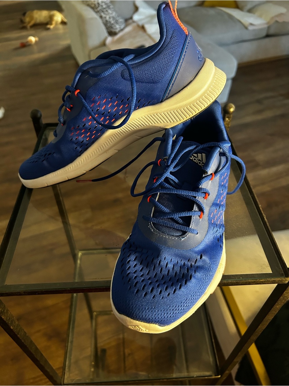adidas Men’s Blue Sneakers with Orange Accents